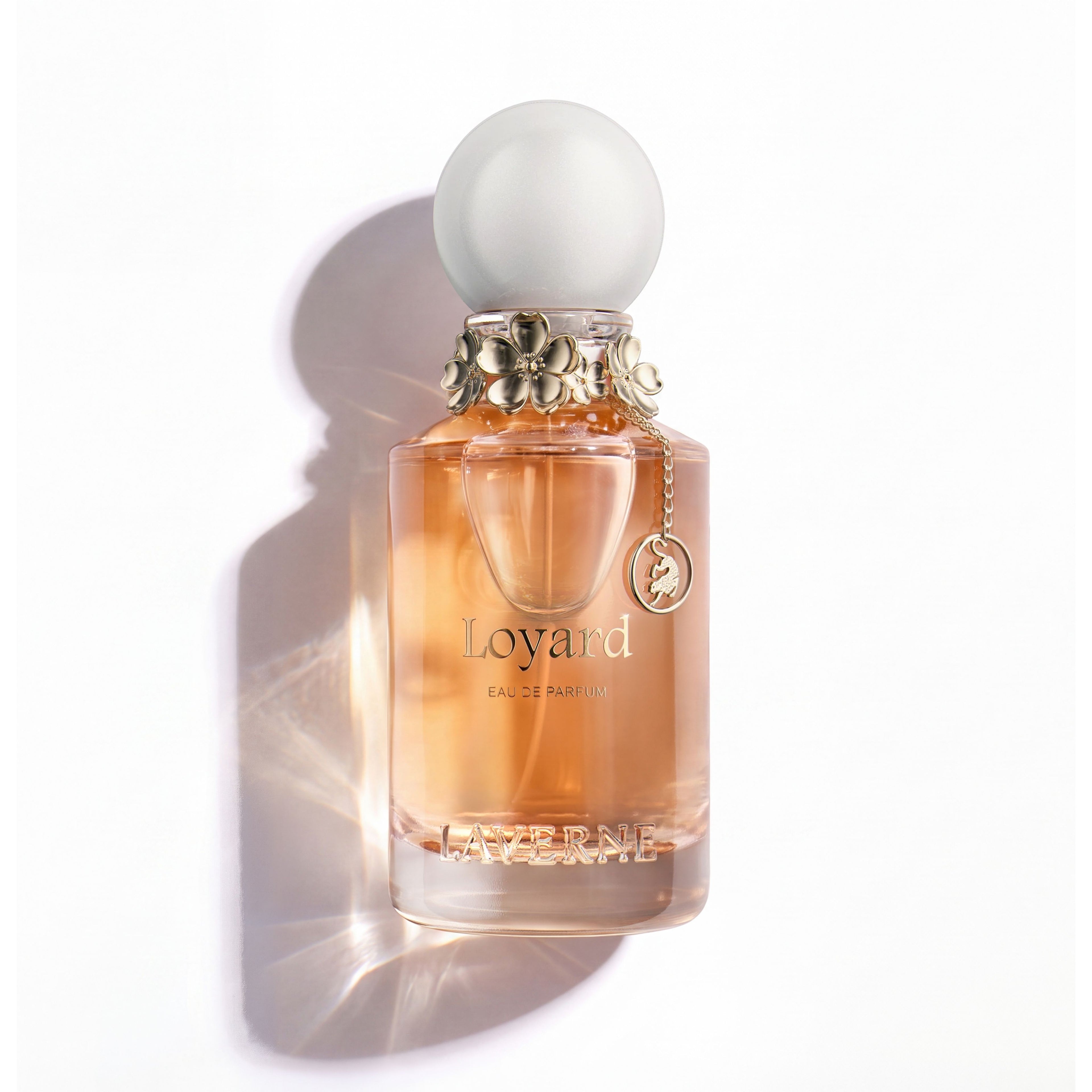 لويارد Louyard